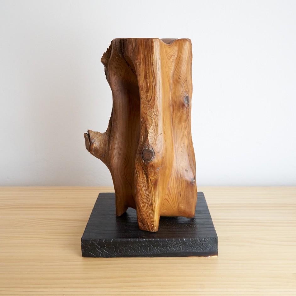 Escultura de Madera Centenaria de la Sierra de Gúdar (Teruel) 2